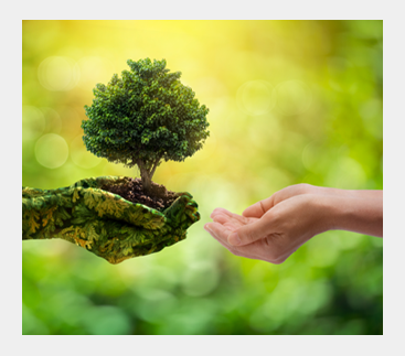 Sustainability